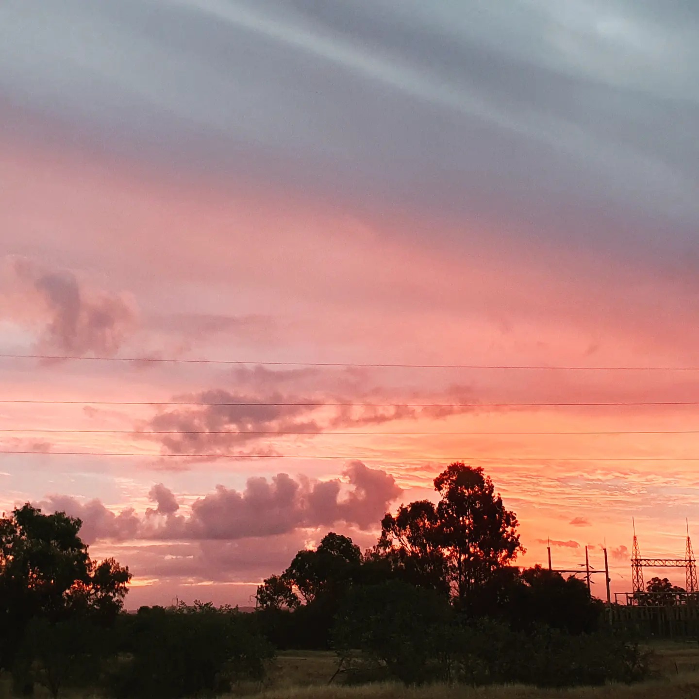 22kV Distribution Line Build & Transformer Install